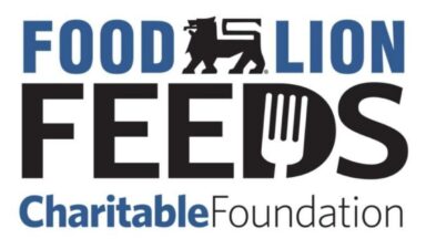 Food Lion Feeds Charitable Foundation Logo
